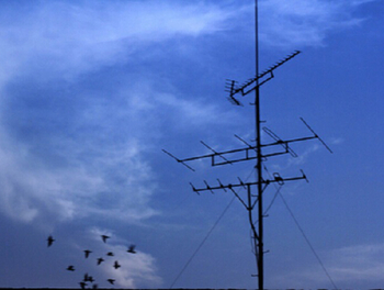 Distributed antenna system will fill the gap in wireless network connection
